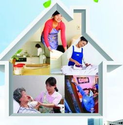 忠心家政服務加盟店數(shù)量及家政服務概覽