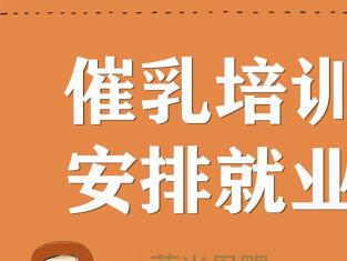 專業乳房保健與產后康復 成都圖催乳師公司一站式服務解決方案